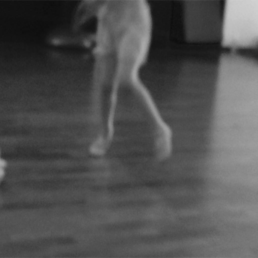 Paesaggio corpo. Al di là della danza e al di qua della terapia
